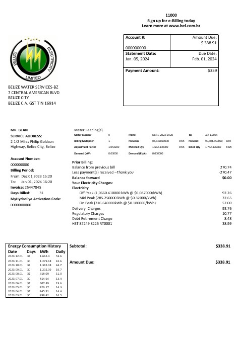 Belize Electricity Limited electricity business utility bill template in Word and PDF format